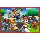 Trefl, Psi Patrol, Psi dzień zabaw, puzzle, 2-24 elementów