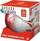 Trefl, PZPN, piłka treningowa