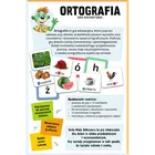 Trefl, Rodzina Treflików, Mały Odkrywca, Ortografia, gra edukacyjna