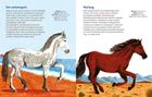 W galopie! Ilustrowana księga koni