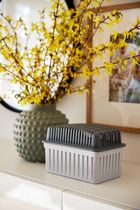 Wenko, zapas do pchłaniacza wilgoci, 3-1 kg