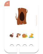 WiemTo, Gdzie Mieszkają Zwierzęta, karty edukacyjne, 4+