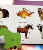 Zwierzęta. Akademia mądrego dziecka. Kolorowy świat malucha