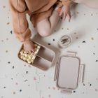 3 Sprouts, Bento, lunchbox, Taupe