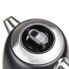 Activer, Rubis, czajnik elektryczny z termostatem, czarny, 1,7l