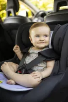 Aeromoov, Magnolia, wkładka antypotowa do fotelika, 9-18 kg