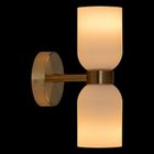 Atmosphera, Rio, szklany kinkiet ścienny, 2 źródła światła, wys. 26,5 cm