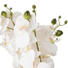 Atmosphera, Sanae, sztuczny storczyk w złotej doniczce, 65 cm