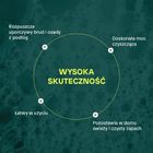 Attitude, płyn do mycia podłóg, drewno i terakota skórka cytrynowa, Citrus, 1050 ml