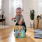 Baby Einstein, Chase & Tap, Słonik Earl, muzyczna zabawka interaktywna