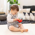 Baby Einstein, Roxy, sensoryczna zabawka interaktywna