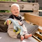 BabyFehn, Wesoły Dinozaur, pierwsza przytulanka
