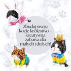 Balody, Kot w kapeluszu, klocki konstrukcyjne, 832 elementy