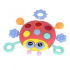 Bam Bam, zabawka sensoryczna, biedronka