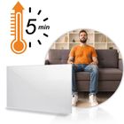 Berdsen, grzejnik na podczerwień, promiennik podczerwieni, 960W, BD-988