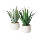 Boltze Home, sztuczna roślina aloes w donicze, Mondrago, 29 cm