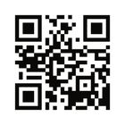 Brio World, Pociąg ekspresowy z dźwiękiem, zabawka drewniana