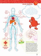 Było sobie życie. Encyklopedia dla dzieci. Tajemnice ludzkiego ciała