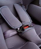 Caretero, Champion Isofix, fotelik samochodowy, 0-18 kg, graphite
