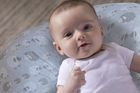 Chicco, Boppy, poduszka wielofunkcyjna, 4w1, Soft Sheep