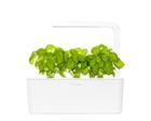 Click & Grow, Smart Soil, kapsułki z nasionami, bazylia, 3 szt.