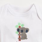 Cool Club, Body chłopięce z krótkim rękawem, koala, zestaw, 3 szt.