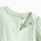 Cool Club, Body dziewczęce z długim rękawem, zielone