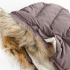 Cool Club, Kurtka dziewczęca z kapturem, ocieplana, ciemnofioletowa