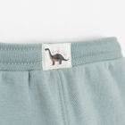 Cool Club, Spodnie dresowe chłopięce, ocieplane, niebieskie