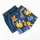 Cool Club, Szorty chłopięce, niebieskie, zestaw, 2 szt.