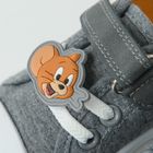 Cool Club, Trampki chłopięce, szare, Tom & Jerry