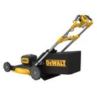 DeWalt, kosiarka akumulatorowa, 2-18V, DCMWSP156N-XJ
