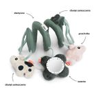 Done by Deer, Tiny Farm, spirala sensoryczna, zawieszka, green