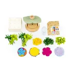 Dumel, Fabryka Radości, Kolorowe kwiaty, zestaw kreatywny do tworzenia kwiatów