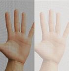 Easy Life Mako, moskitiera okienna, poliester, taśma rzep, biała, 150-180 cm