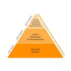 Essentia Nature, perfumy do prania, Cytrusy i Kwiat Pomarańczy, 20 ml