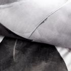 Eurofirany, komplet pościeli satynowej, Spring, 140-200 cm, biały