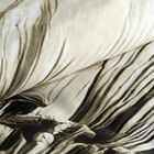 Eurofirany, komplet pościeli satynowej, Spring, 140-200 cm, jasnobeżowy