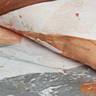 Eurofirany, pościel Amara, 220-200 cm, rudy