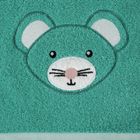 Eurofirany, ręcznik dziecięcy baby, 15-21 cm, miętowy