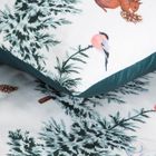 Eurofirany, świąteczny komplet pościeli, Roland, 160-200 cm, biały