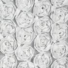 Eurofirany, zasłona gotowa, Roses, 140-250 cm, biały