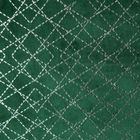 Eurofirany, zasłona zaciemniająca gotowa, D91 Moly, 140-250 cm, zielony