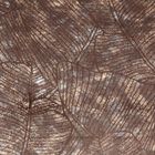 Eurofirany, zasłona zaciemniająca gotowa, na taśmie, Tulia, 135-270 cm, brązowy