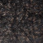 Eurofirany, zasłona zaciemniająca gotowa, na taśmie, Tulia, 135-270 cm, czarny