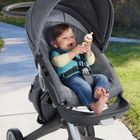 Fisher-Price, Grzechotka gryzaczek, Gąska, zabawka niemowlęca