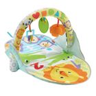 Fisher-Price, Przenośna mata sensoryczna, zabawka niemowlęca