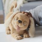 FurReal Friends, Piesek, pluszowa zabawka interaktywna