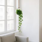 Giftdecor, wisząca waza dekoracyjna, 18 cm