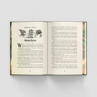 Harry Potter i więzień Azkabanu. Tom 3 (ilustrowane brzegi)